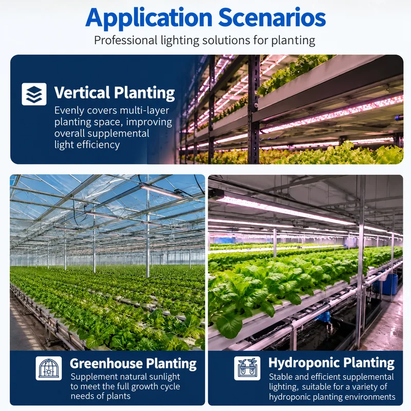 60W greenhouse top grow light application scenarios collage for vertical farming and hydroponics