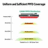 Greenhouse Top Grow Light Series – 400W / 800W / 1200W - Ppfd distribution diagram with hanging heights and coverage areas