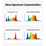 Intercanopy & Under Canopy Grow Light Series – 120W / 150W - Four spectrum customization charts for uv, seedling, flowering and dual red