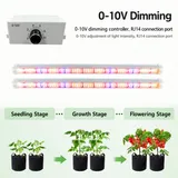 Propagation & Rack Grow Light Series – 100W / 120W - 0-10v dimming controller with two tubes and growth stage photos