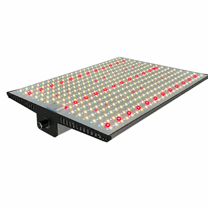 Quantum board grow light category cover image