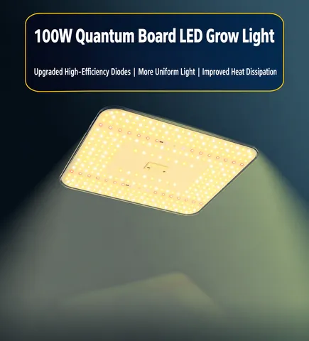 100W Quantum Board Grow Light